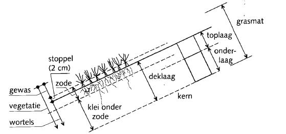 afbeelding_frombase64_0