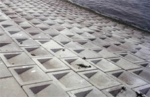 Foto van talud bekleed met Haringmanblokken.