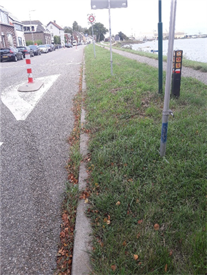 Foto van asfaltweg links en grasberm rechts.