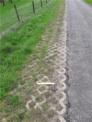 Foto van grasberm links en asfaltweg rechts.