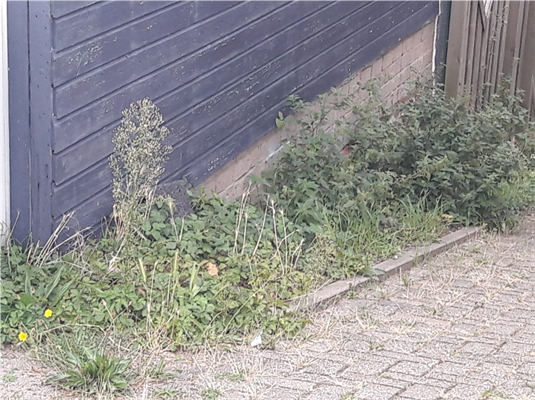 Foto van het onderste gedeelte van een muur, een strookje beplanting en een afrit.
