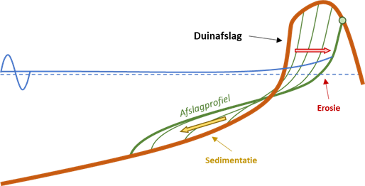 Schematische weergave van het duinafslagproces. Een doorsnede van een duin is weergegeven met een waterpeil en in het groen is het afslagprofiel getekend, welke wordt gevormd door sedimentatie en erosie.