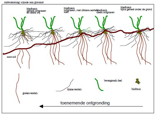 Tekening van oplopende schade aan een grasmat.