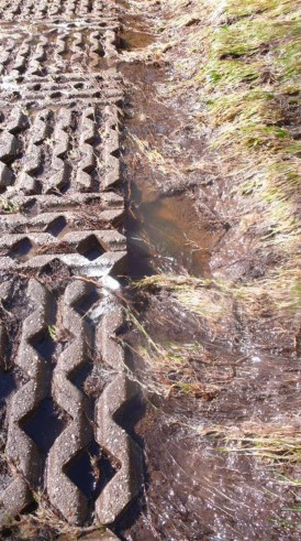 Foto van weggespoeld gras naast doorgroeistenen.