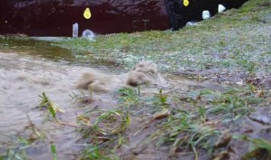 Foto van water stromend over grastalud.
