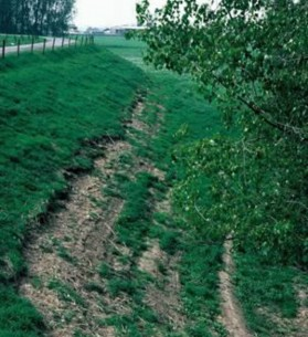 Foto van dijktalud met horizontale kale stukken.