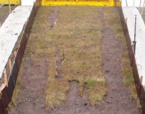 Foto van deels afgestroopte toplaag bij golfoverslagproef.