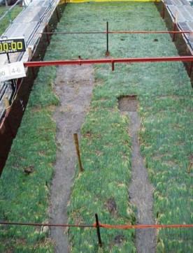 Foto van afstropen na schade in golfoverslagbak.