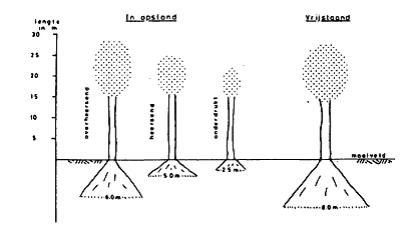 fig17